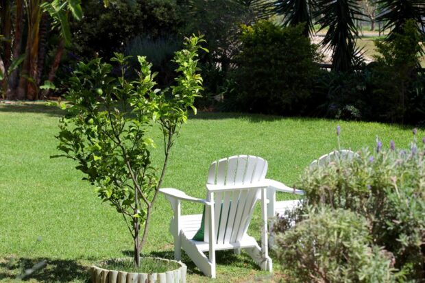 Gemütlicher Garten zum verweilen im Gästehaus Südafrika 4-Heaven